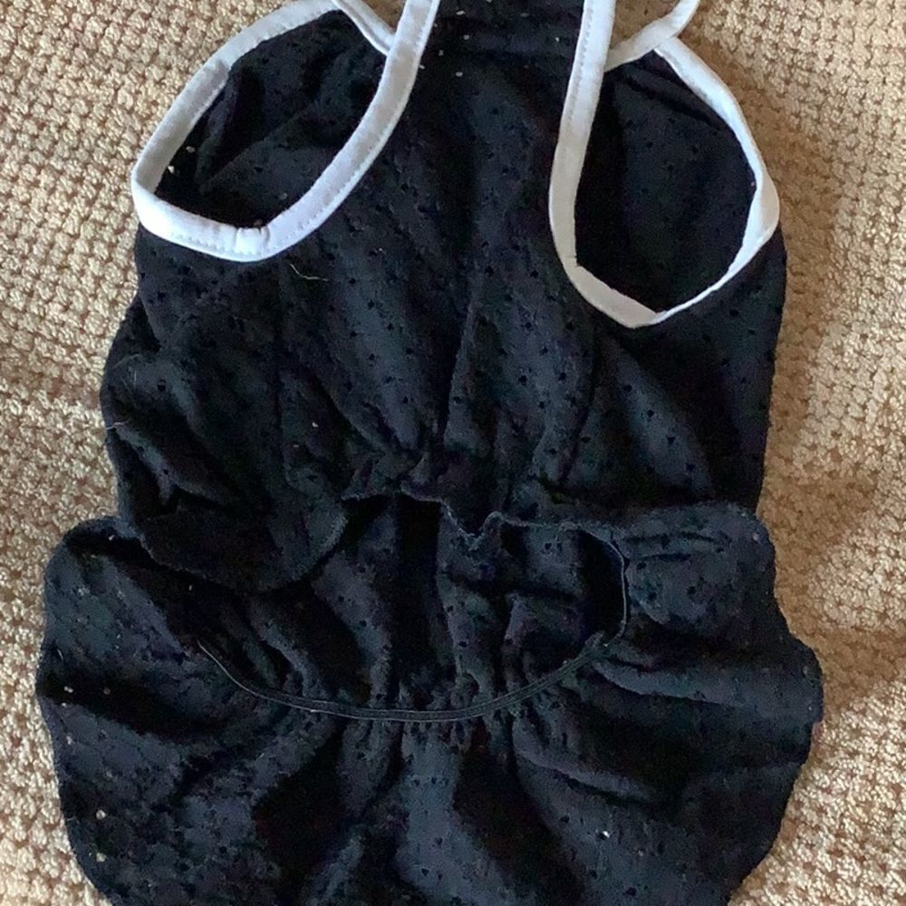 Black Stretch Eyelet Fancy Dress - Picture 9 of 11